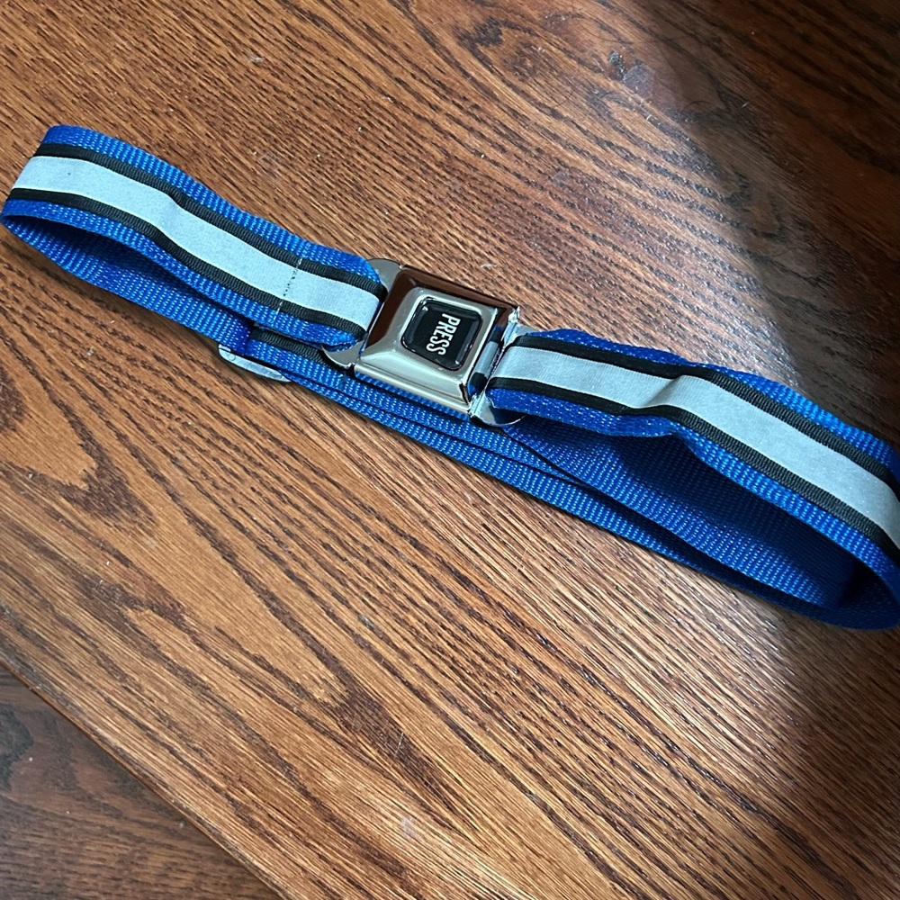 Seat Belt Belt
